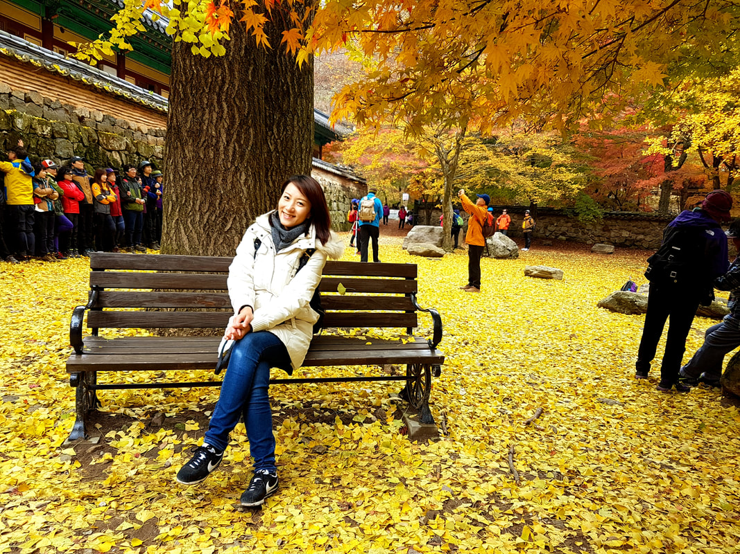 韓楓,韓國,楓葉,內藏山,韓國旅遊