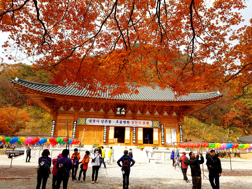 韓楓,韓國,楓葉,內藏山,韓國旅遊,內藏寺