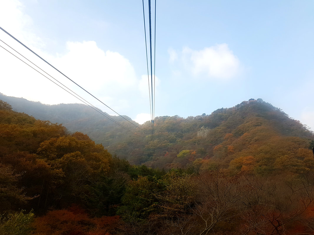 韓楓,韓國,楓葉,內藏山,韓國旅遊