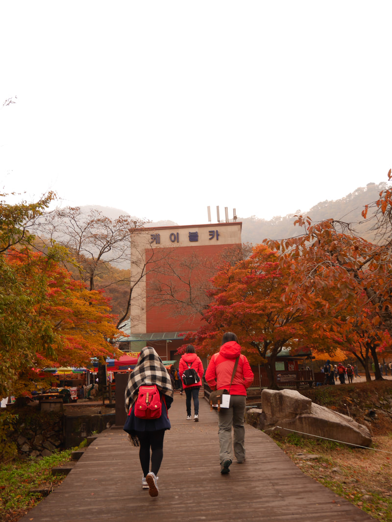 韓楓,韓國,楓葉,內藏山,韓國旅遊