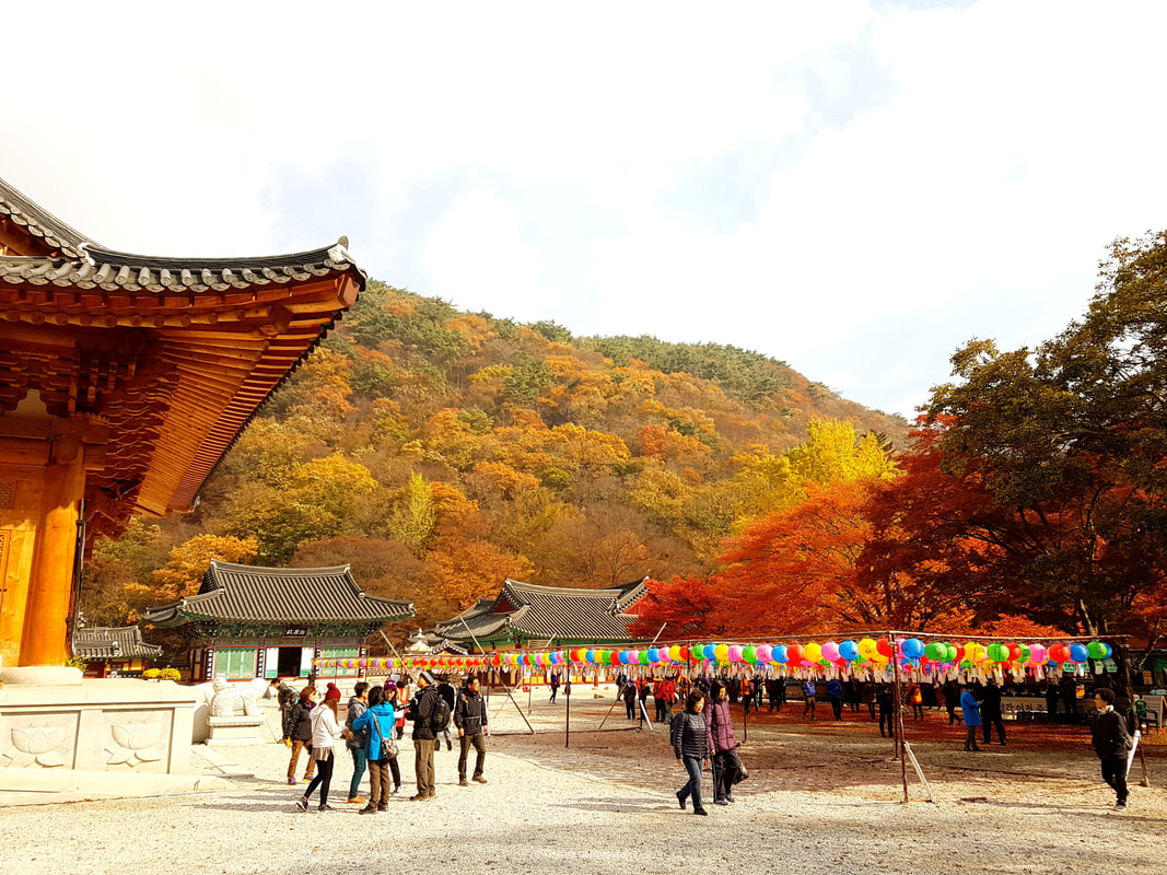 韓楓,韓國,楓葉,內藏山,韓國旅遊,內藏寺