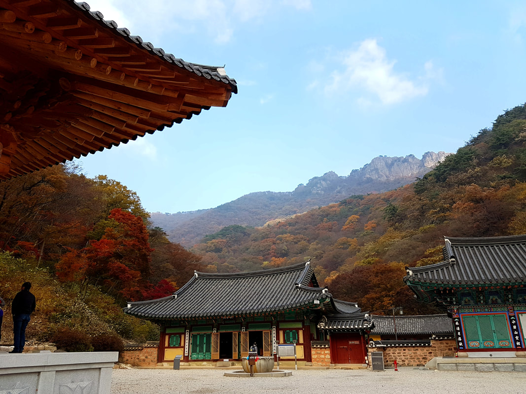 韓楓,韓國,楓葉,內藏山,內藏寺,韓國旅遊