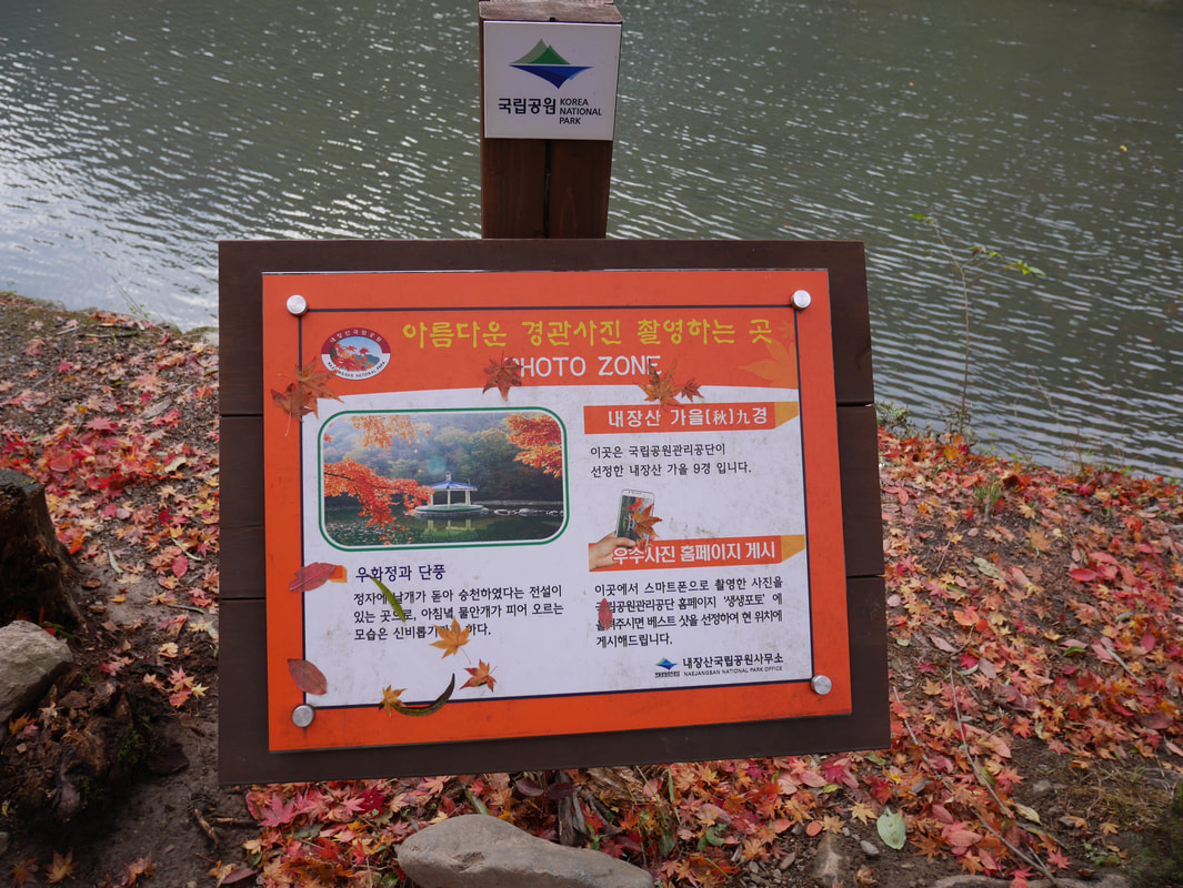 韓楓,韓國,楓葉,內藏山,韓國旅遊