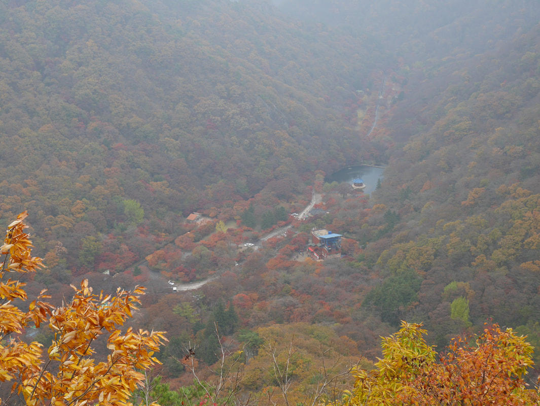韓楓,韓國,楓葉,內藏山,韓國旅遊