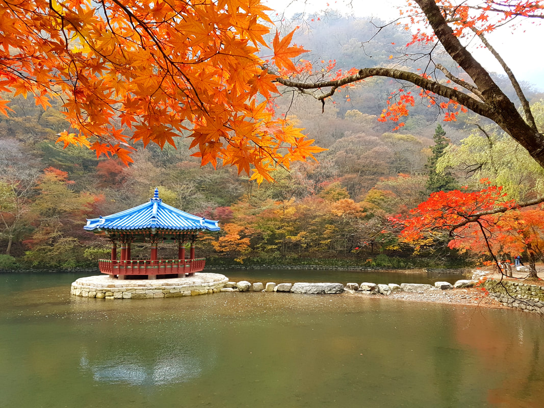 韓楓,韓國,楓葉,內藏山,韓國旅遊