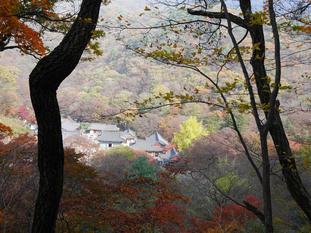 韓楓,韓國,楓葉,內藏山,韓國旅遊
